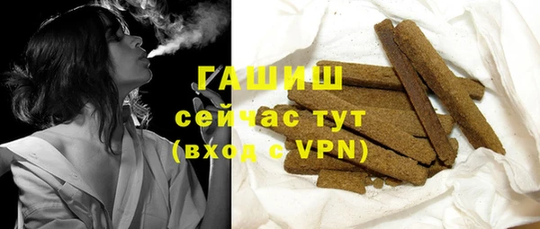 индика Михайловск