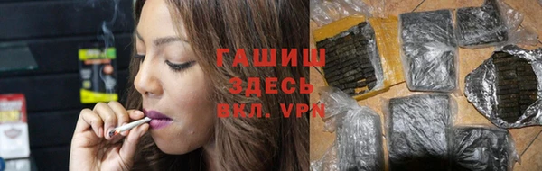 индика Михайловск
