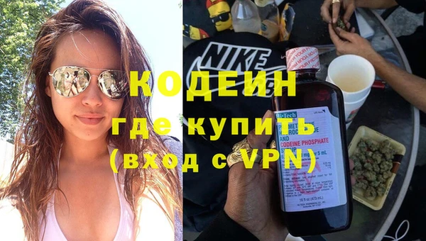 индика Михайловск