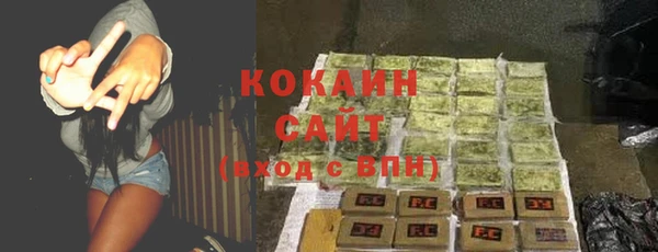 индика Михайловск