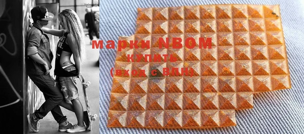 индика Михайловск