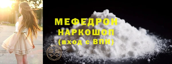 индика Михайловск