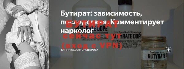 индика Михайловск