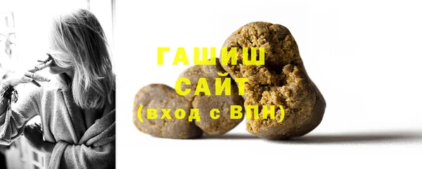 индика Михайловск
