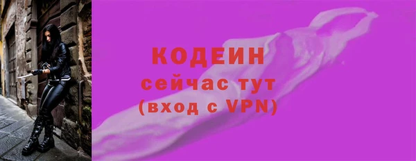 индика Михайловск