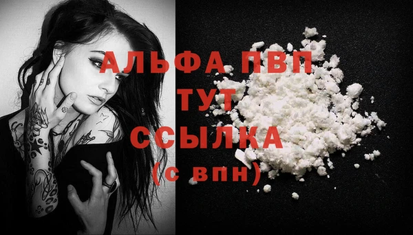 спайс Михайлов
