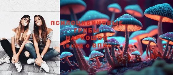 индика Михайловск