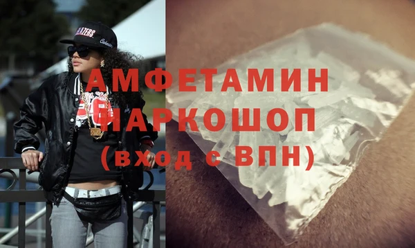 индика Михайловск