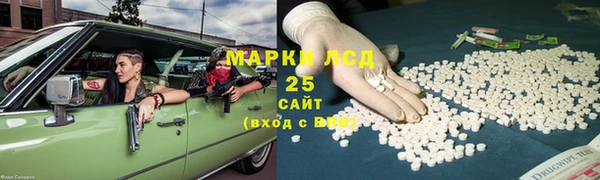 индика Михайловск