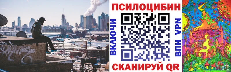 Псилоцибиновые грибы мицелий  Купить закладки  Кологрив 